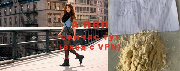 винт Лабытнанги