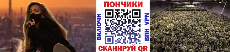 нарко площадка состав  Новоаннинский  Бошки Шишки MAZAR 